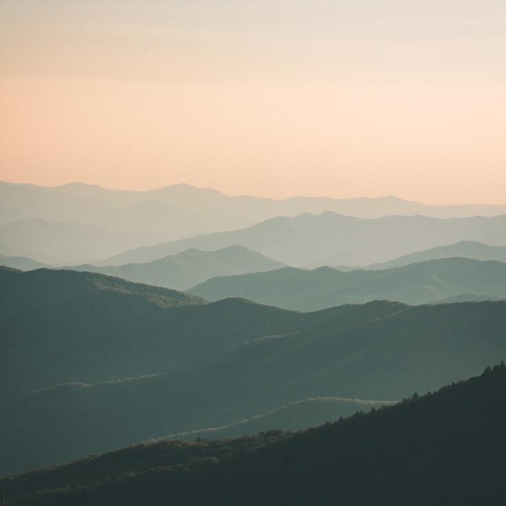 Protected areas overview